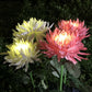 Waterproof Solar Powered Chrysanthemum Garden Stake Lights_7