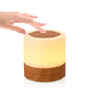 Load image into Gallery viewer, USB Charging Portable Remote Controlled Touch Lamp Night Light_0