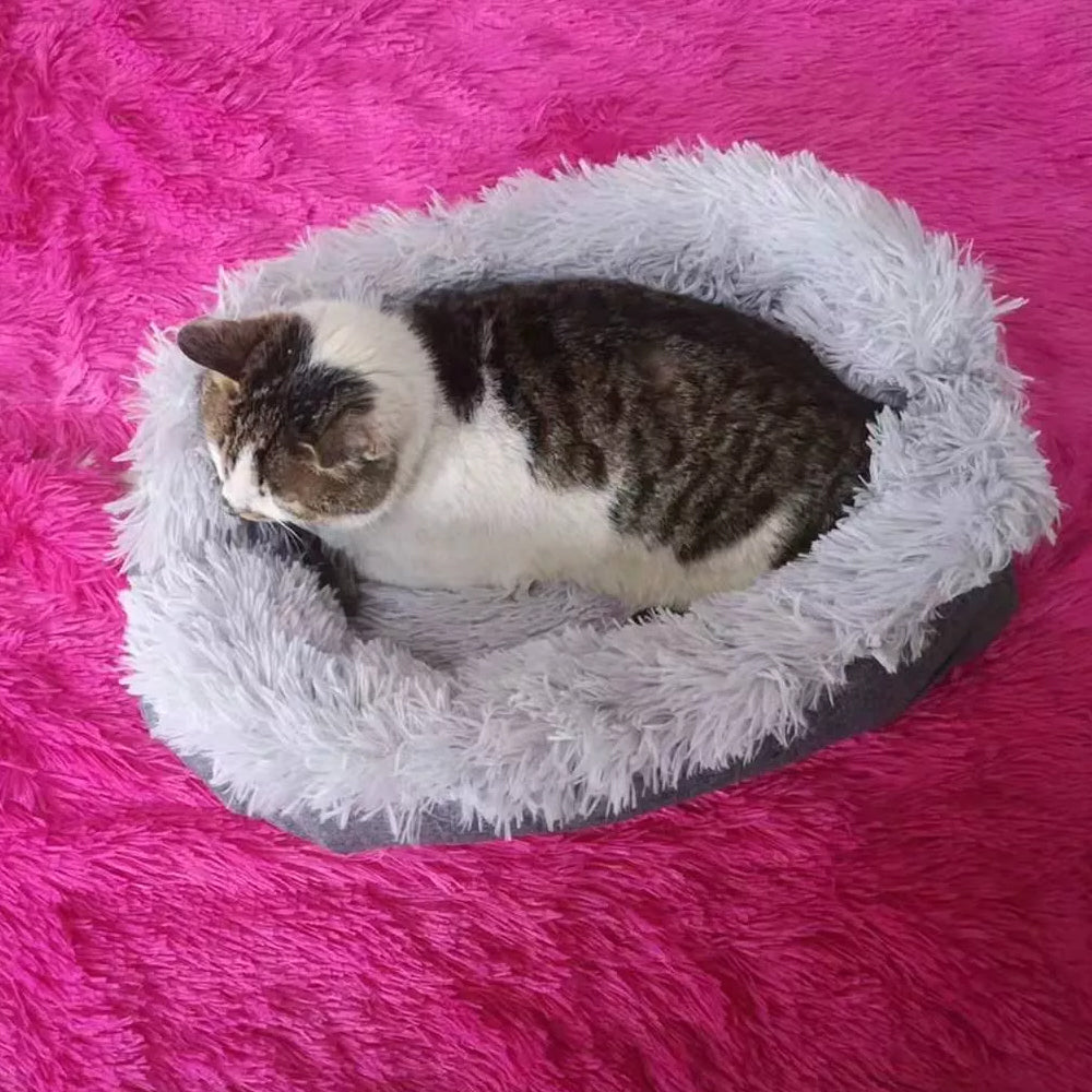 Self-Heating Cat Bed Indoor Cat Mat with Non-Slip Bottom_7