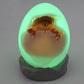 USB Charging Remote Controlled 3D Dinosaur Egg Lamp_7