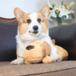 Heartbeat Puppy Toy Anxiety Relief for Dogs-Battery Powered_7