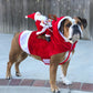 Dog Christmas Costume, Christmas Holiday Outfit for Small to Large Sized Dogs_12