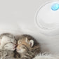 USB Rechargeable Cat Litter Deodorizing Box Odor Purifier_7